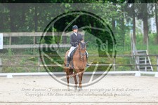 ref. photo 3592608
