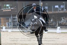 ref. photo 3592648