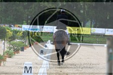 ref. photo 3592886