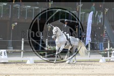 ref. photo 3593135