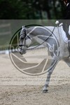 ref. photo 3593180