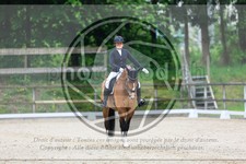 ref. photo 3593186