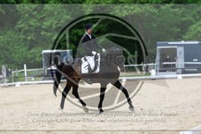 ref. photo 3593258