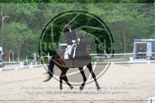 ref. photo 3593268