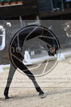ref. photo 3593282