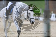 ref. photo 3593342