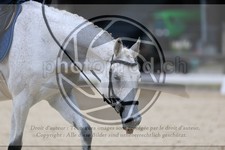 ref. photo 3593343