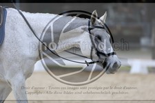ref. photo 3593344