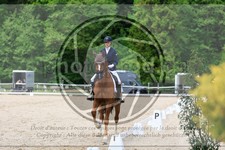 ref. photo 3593356