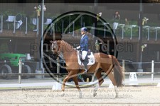 ref. photo 3593361