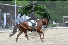 ref. photo 3593414
