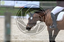 ref. photo 3593502