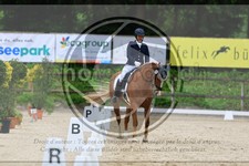 ref. photo 3593784