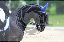 ref. photo 3594036