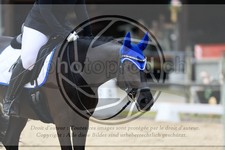 ref. photo 3594063