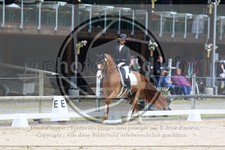 ref. photo 3594083