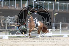 ref. photo 3594084