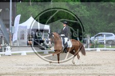 ref. photo 3594089