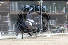 ref. photo 3594116