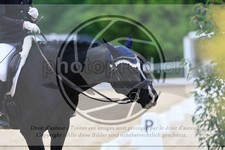 ref. photo 3594127
