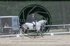 ref. photo 3594244