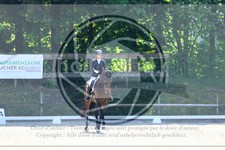 ref. photo 3594537
