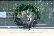 ref. photo 3594553
