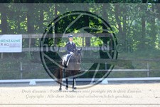 ref. photo 3594614