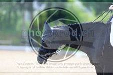 ref. photo 3594624