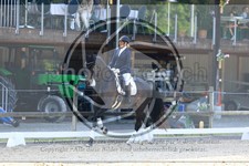 ref. photo 3594635