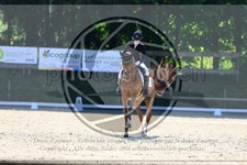 ref. photo 3594728