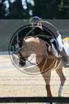 ref. photo 3594741