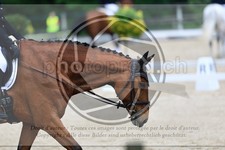 ref. photo 3594841