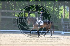 ref. photo 3594956