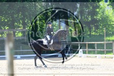 ref. photo 3595029