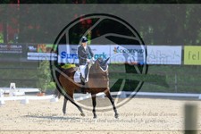 ref. photo 3595053