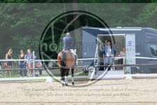 ref. photo 3595105