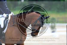 ref. photo 3595122