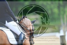 ref. photo 3595124