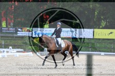 ref. photo 3595147