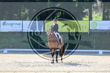 ref. photo 3595163