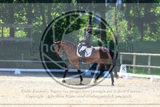 ref. photo 3595189