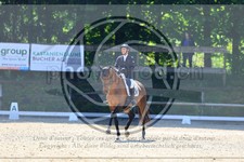 ref. photo 3595204