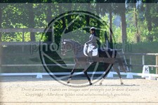 ref. photo 3595213