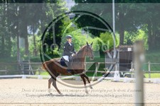 ref. photo 3595312