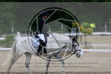 ref. photo 3595374