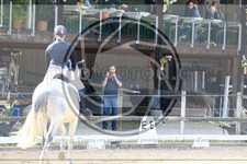 ref. photo 3595539