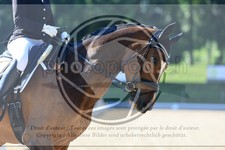 ref. photo 3595855
