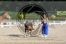 ref. photo 3595992