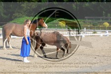ref. photo 3595993